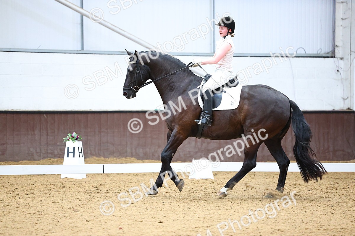 SBM_005547 - Elementary 2