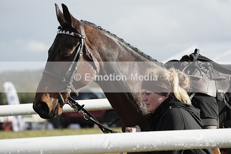 PtP 180323 1328 - Shelfield Park Races with Croome & West Warwickshire Hunt  18/03/23