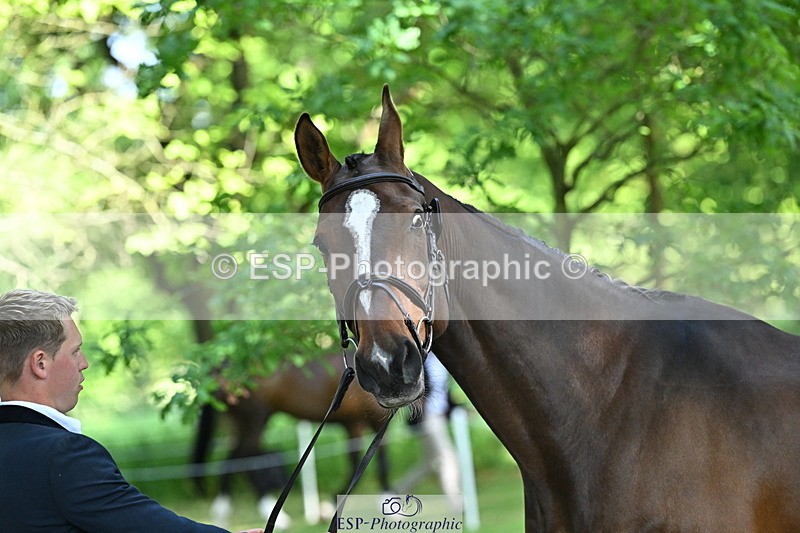 250521A-154838-00777 - B-371-Ben.Perry-FA.KARLA