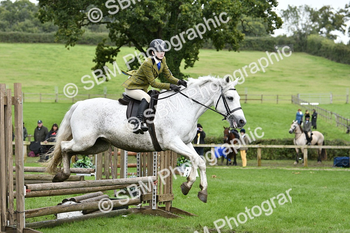 SBM_42255 - S32 - Mountain & Moorland Working Hunter Pony