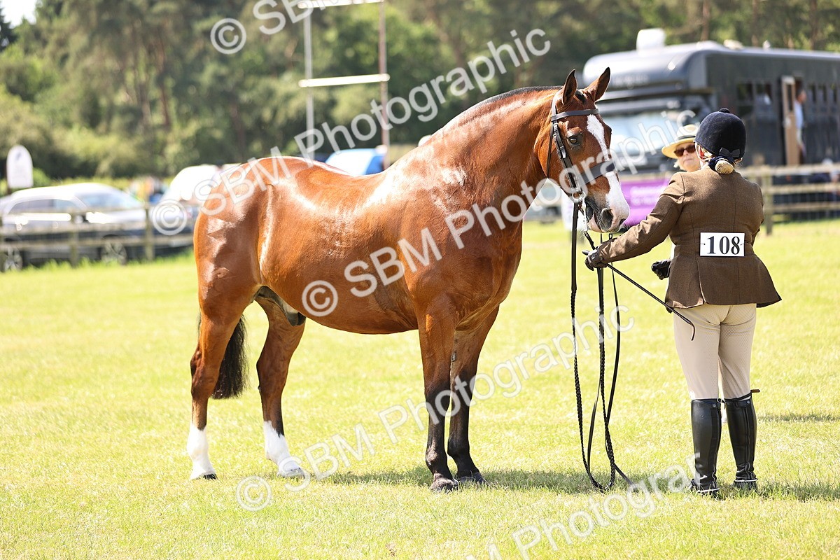 SBM_13811 - Class 77 - LIHS BSHA Rising Star Cobs