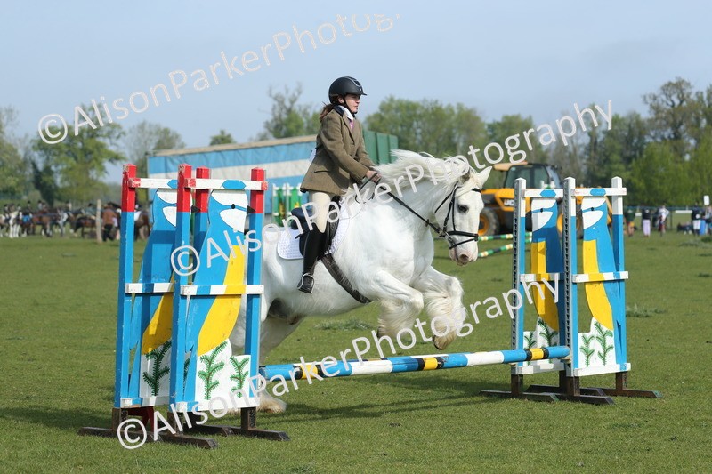 20260426-0138 - Class 13 - Rookie Jumping 50cm