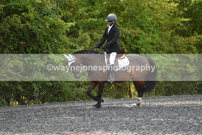 WJ5_9406 - Time 10:10 to 10:47