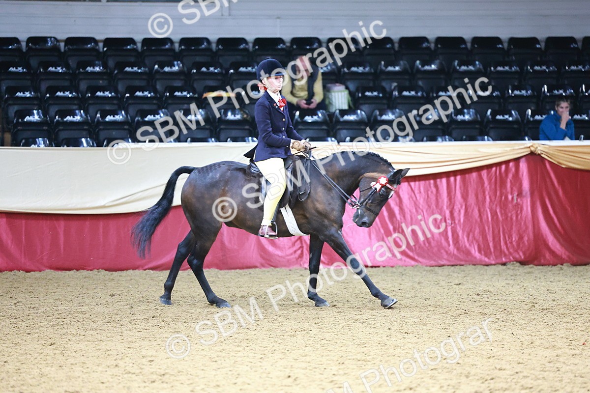 SBM_23344 - Class 904 - Supreme Final - Ridden Diamond