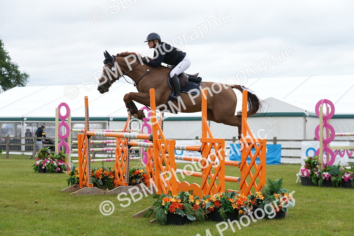 SBM_03192 - Class 201 - British Horse Feeds Speedi Beet Horse of the Year Show Grade  C