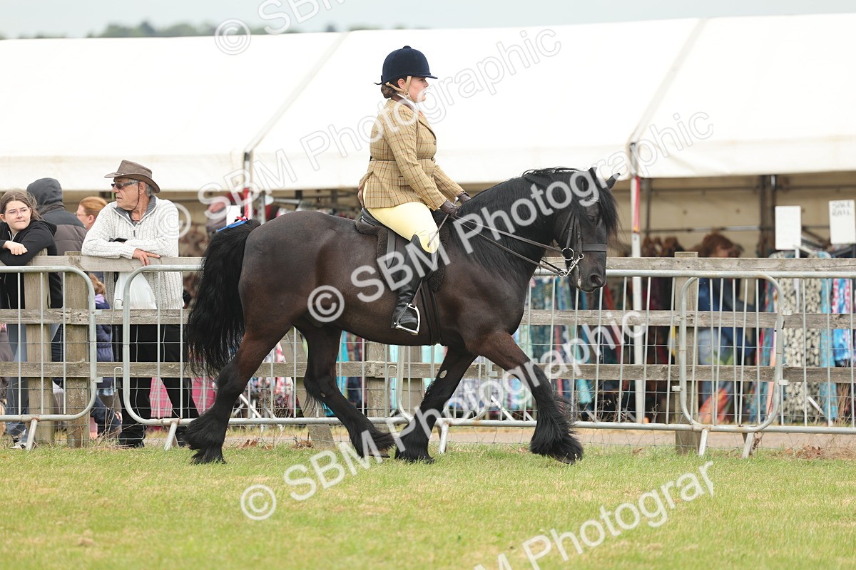 SBM_08912 - Class 78-80 - Ridden M&M Non Welsh Ponies