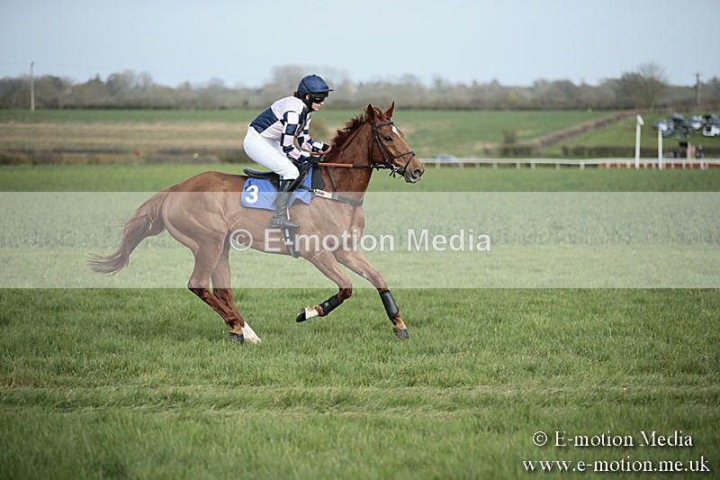 PtP 230319 315 - VWH Hunt Siddington Point-to-Point Racing 23/03/19