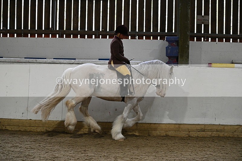 WJ7_3809 - Class 17 Ridden Cob