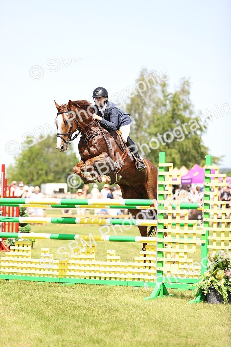 SBM_04053 - Class 201 - British Horse Feedds Speedi Beet HOYS Grade C