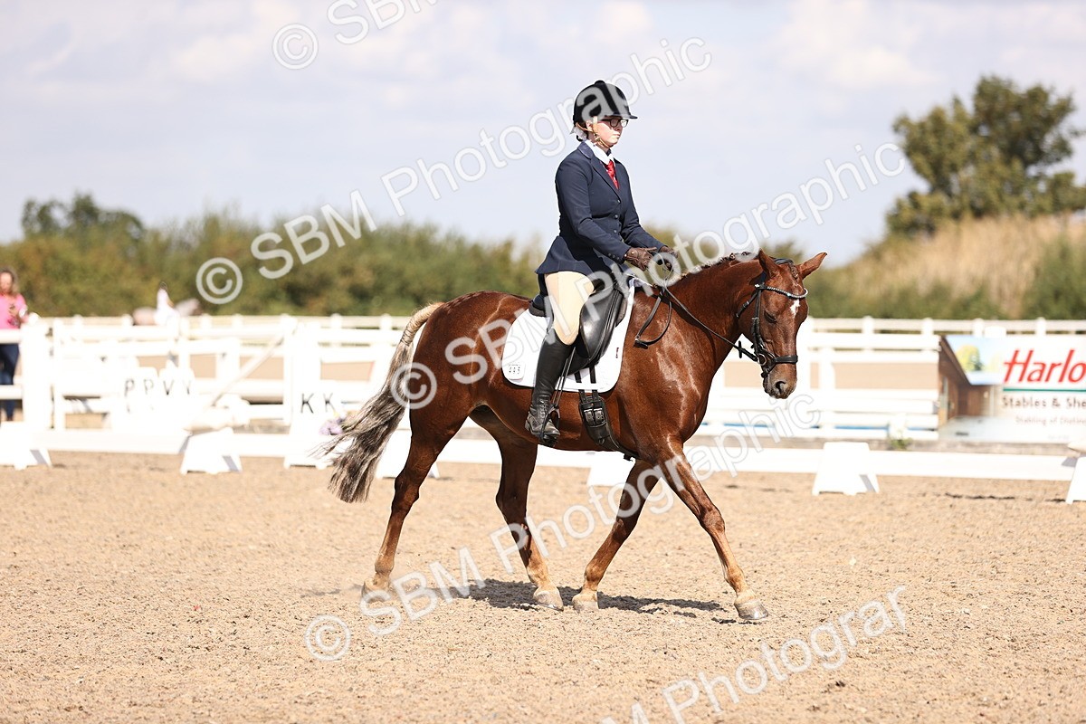 SBM_03564 - CLass 35 Intro 3