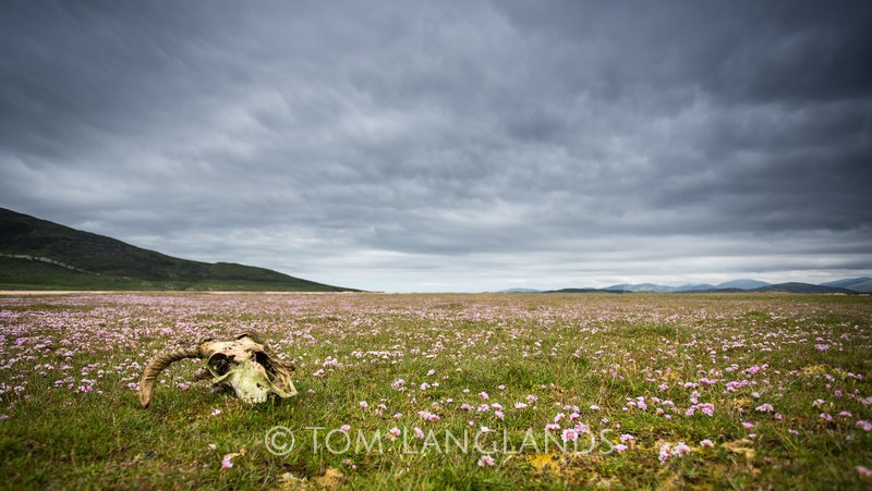 Skull and Machair - Landscapes