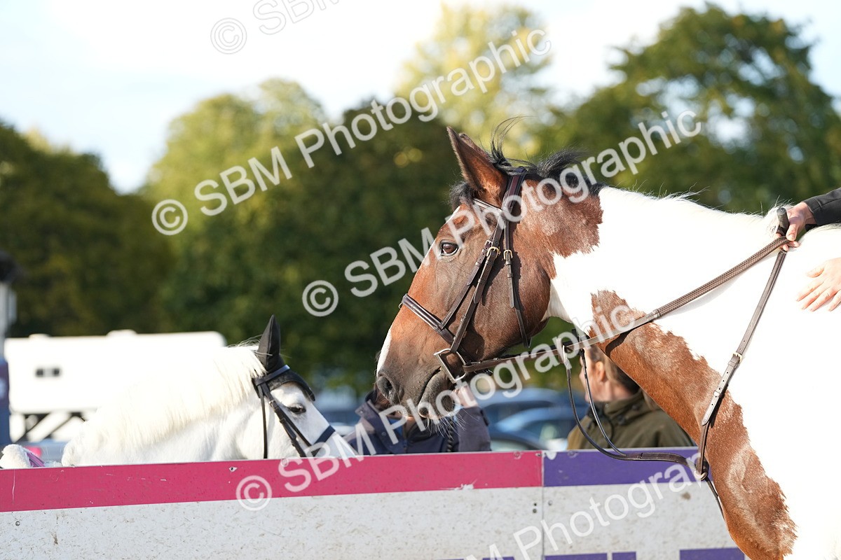 SBM_29404 - J44 - Horse & Hound Open 70cm