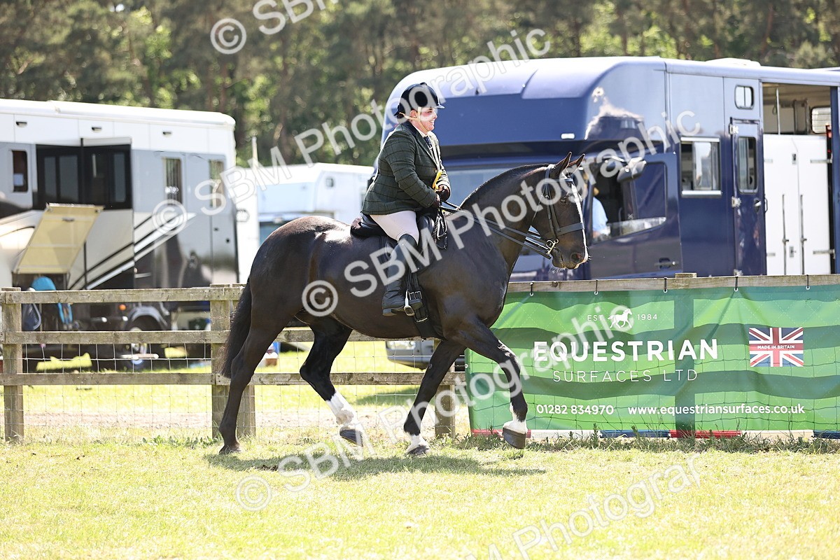 SBM_17961 - Class 81-83 - TSR Ridden Amateur of the Year - Horses