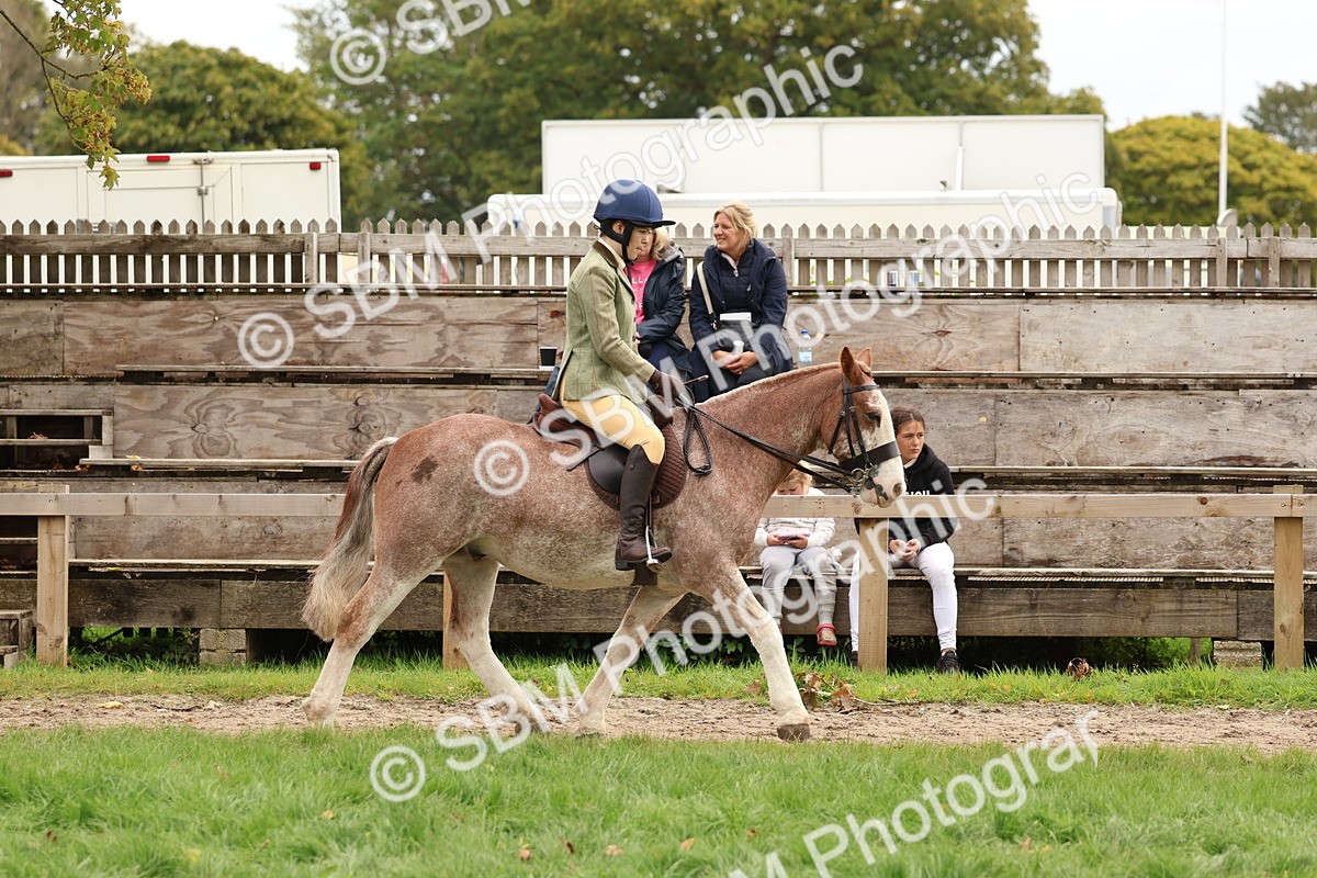 SBM_64435 - S58 - Coloured Pony Ridden