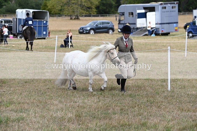 WJ6_5942 - Class 19 In-hand Veterans (Uploaded correct folder)