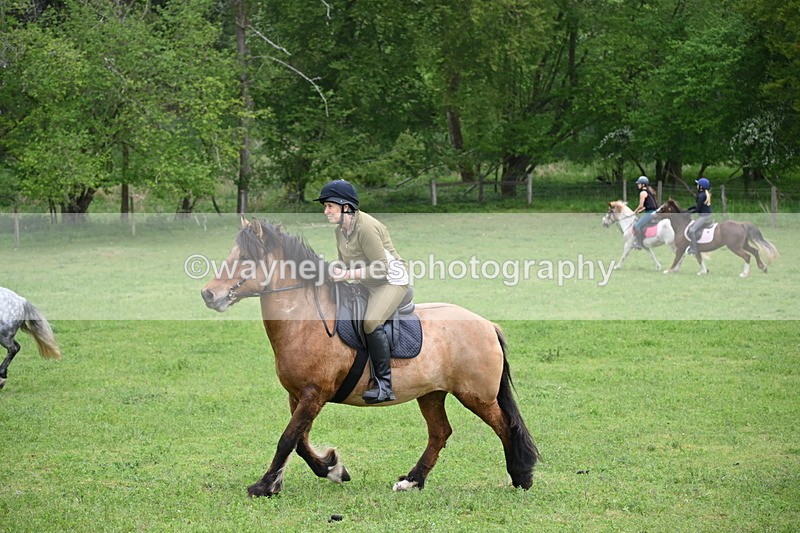 WJ6_3361 - A camera