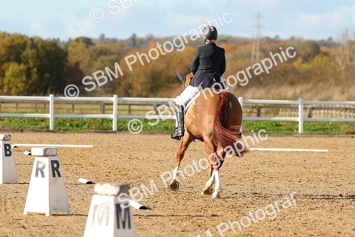 SBM_001439 - Medium 3