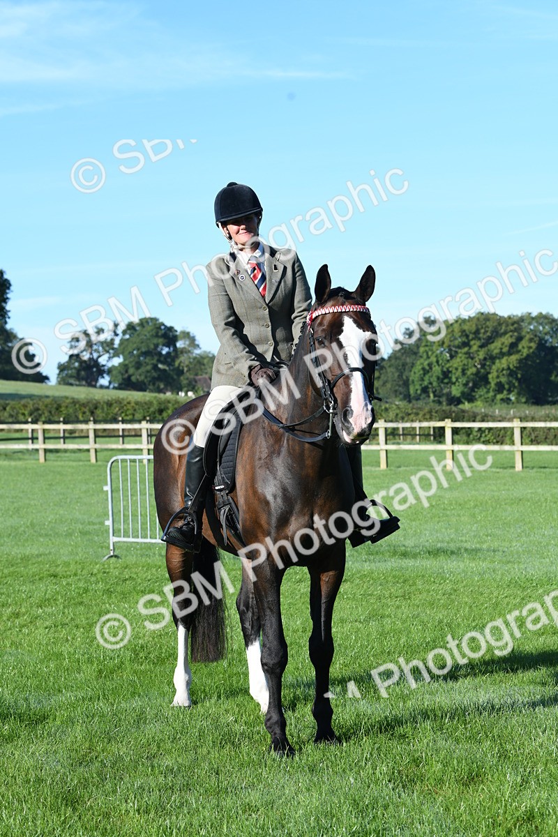 SBM_34040 - S16 - Condition & Turnout - Ridden