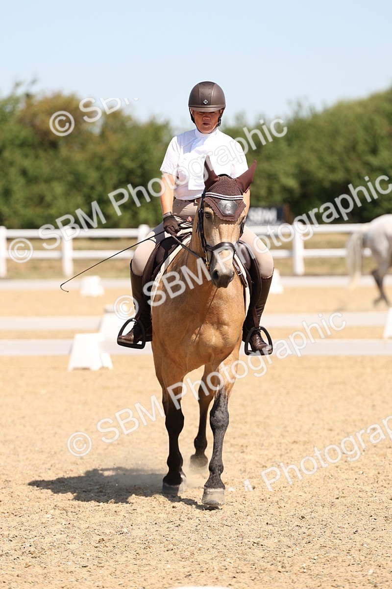 SBM_001214 - Intro 2