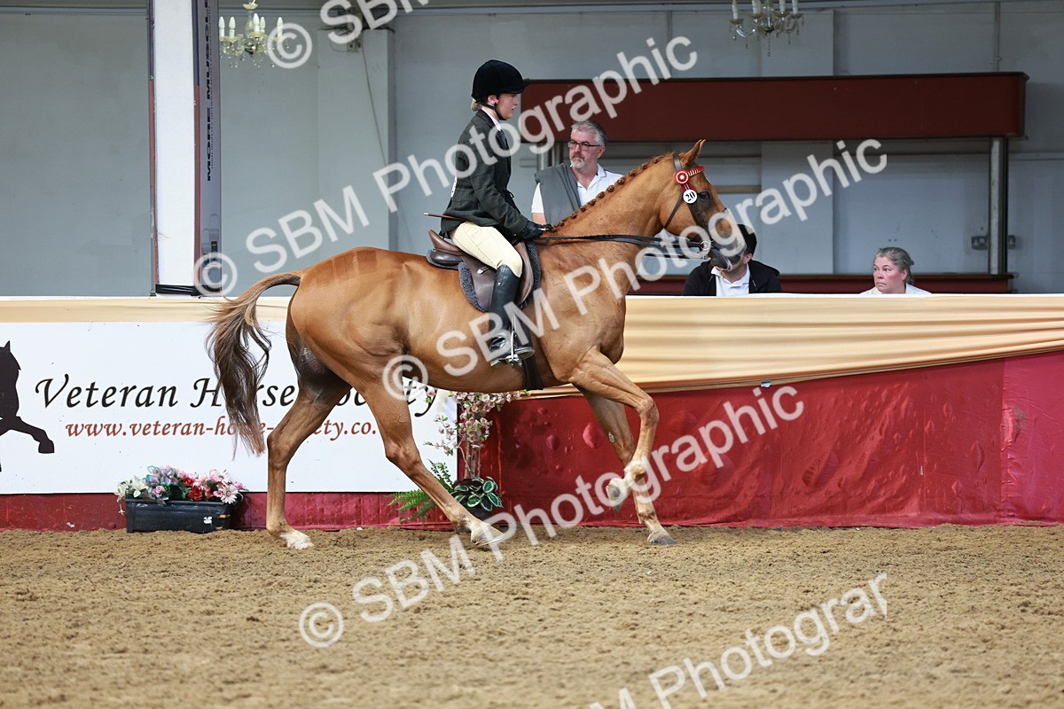 SBM_14939 - Class 108 - Ridden Retired Racehorse