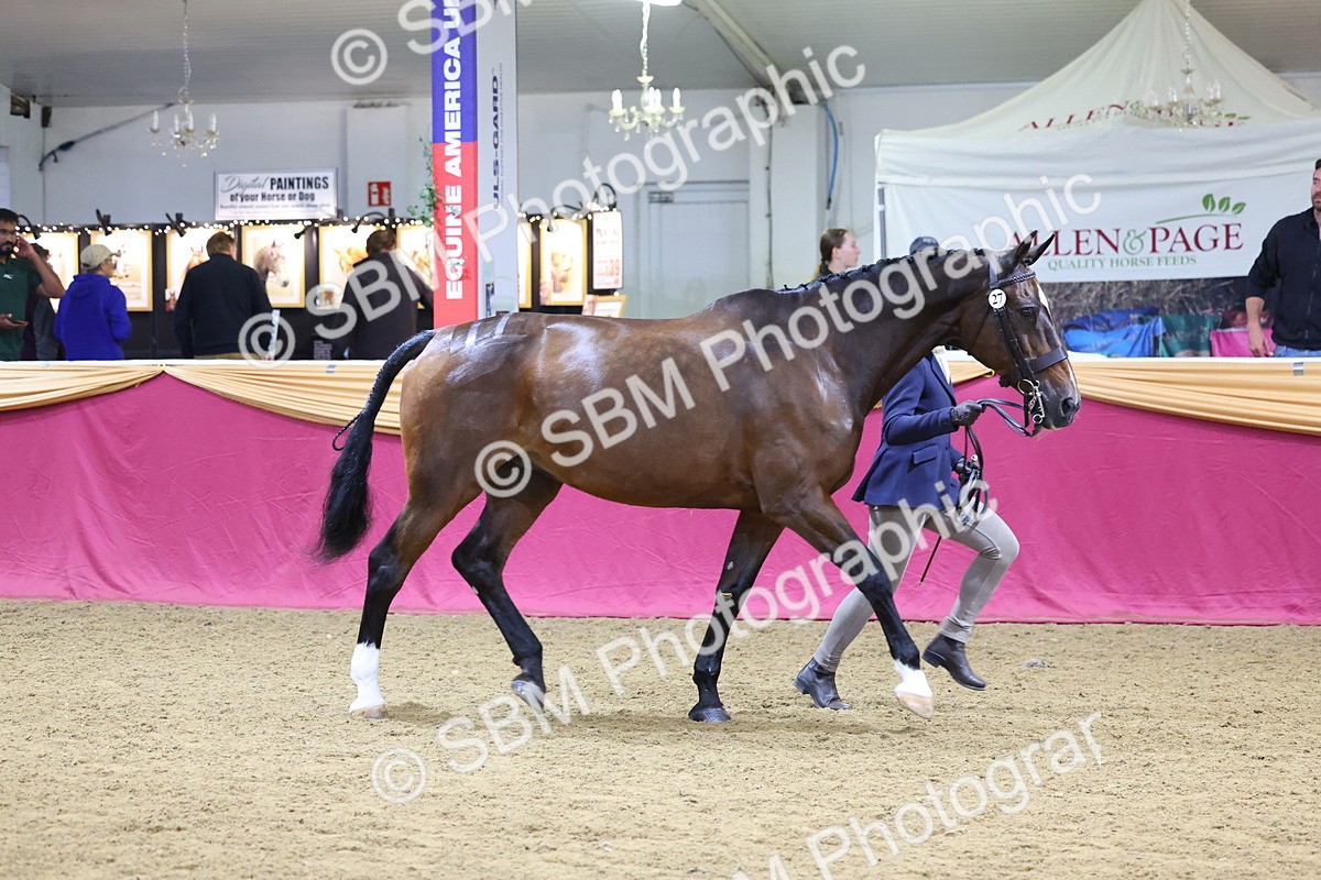 SBM_19621 - Class 901 - Supreme Final - IH Diamond