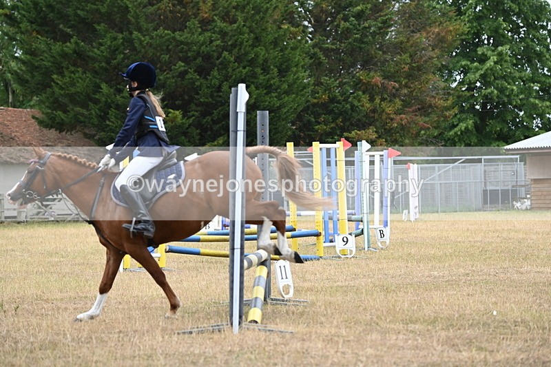 WJ6_0163 - Class 13 Novice Jumping 60cm