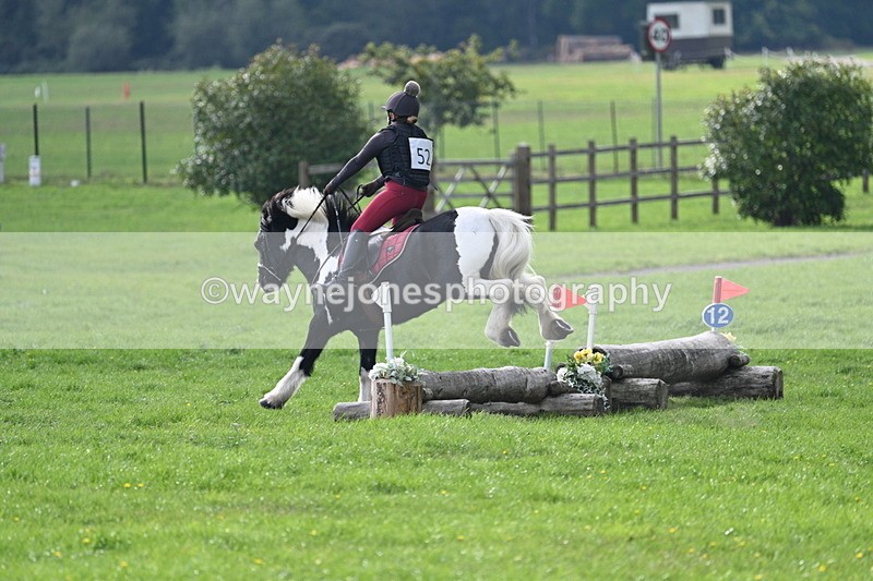 WJ7_3768 - 40cm Time 10:26 to 10:42