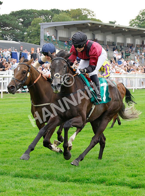 250725-Race 5-Idyllic-88693 - Race 5