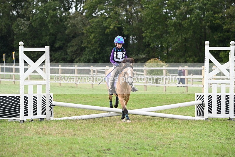 WJ6_0086 - 40cm Time 10:00 to 10:28
