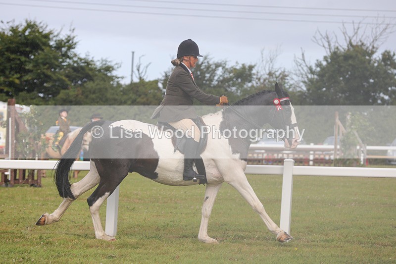 1X9A3042 - Class 26: Ridden Plaited Coloured Pony