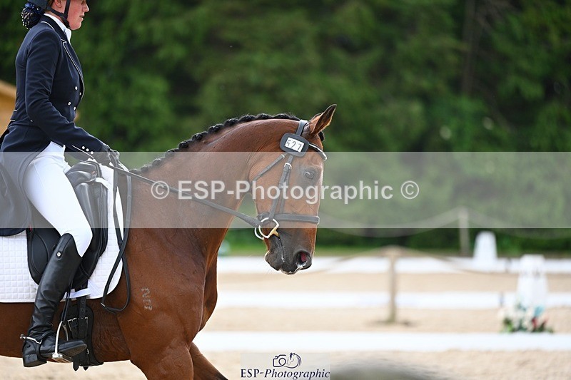 240524-140410-10135 - 527-SEATTLE_PARK-Sophia_Hill