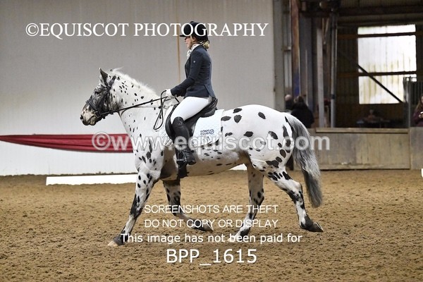 BPP_1615 - PC GRASSROOTS DRESSAGE
