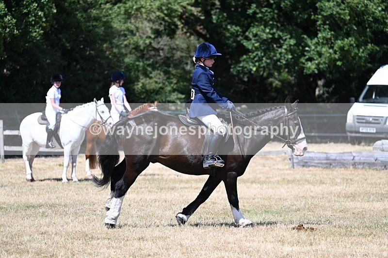 WJ7_3718 - Class 8 Ridden Veterans