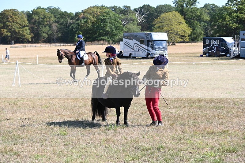 WJ6_7563 - Class 34 Judges Choice