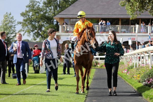 yr20082022r6-28 - Race 6 4.45 pm Julia Graves Roses Stakes