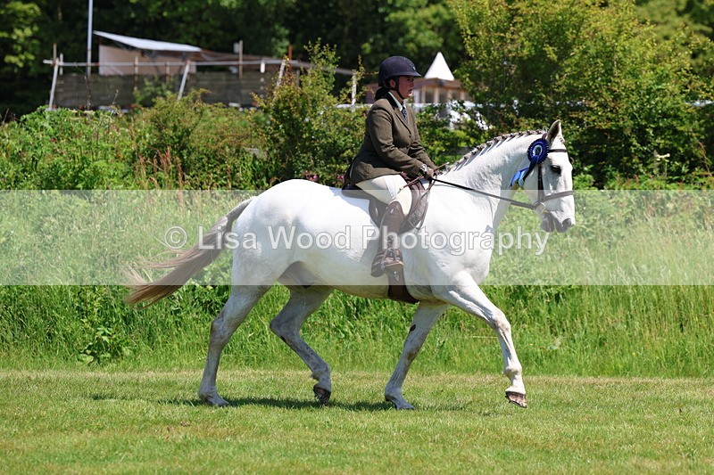 3E7A8038 - Working Hunter Championship