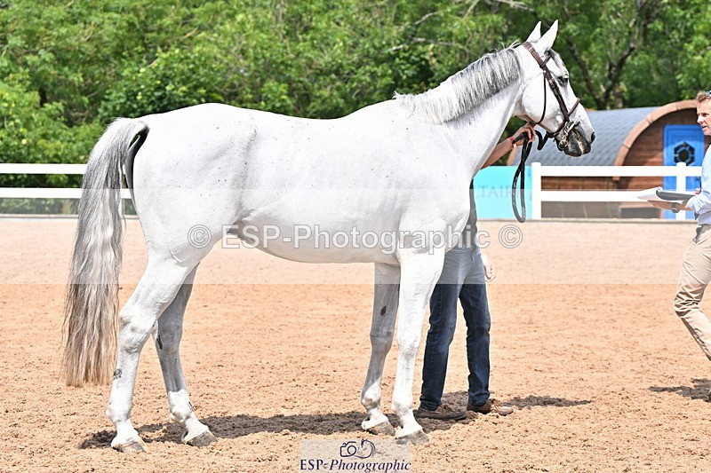 240718A-105312-01704 - Trot Up 1pm to 2pm
