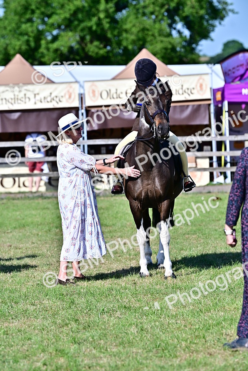 SBM_19540 - Class 101-102 - BSPS LIHS Performance Coloured Horse/Pony