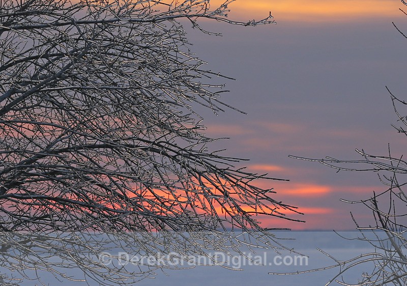 Twilight in Winter - Winterscape