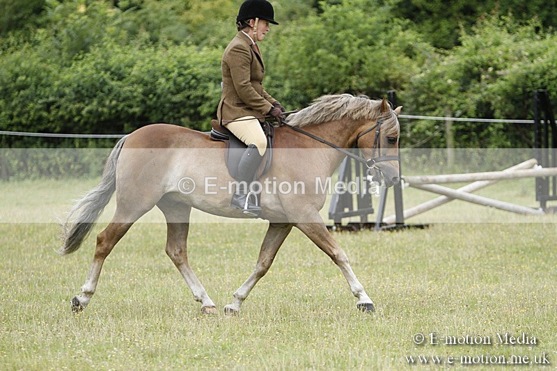 BVR160717-155 - Ring 3 BVRC Show 16/07/17