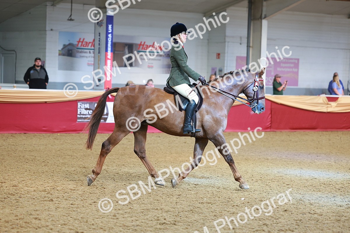 SBM_09775 - Class 102 - HOYS Veteran Qualifier - Ridden Veteran