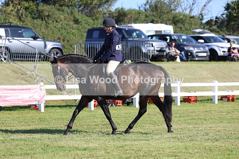3E7A5348 - Class 2: Rising Star Large Hack/Riding Horse