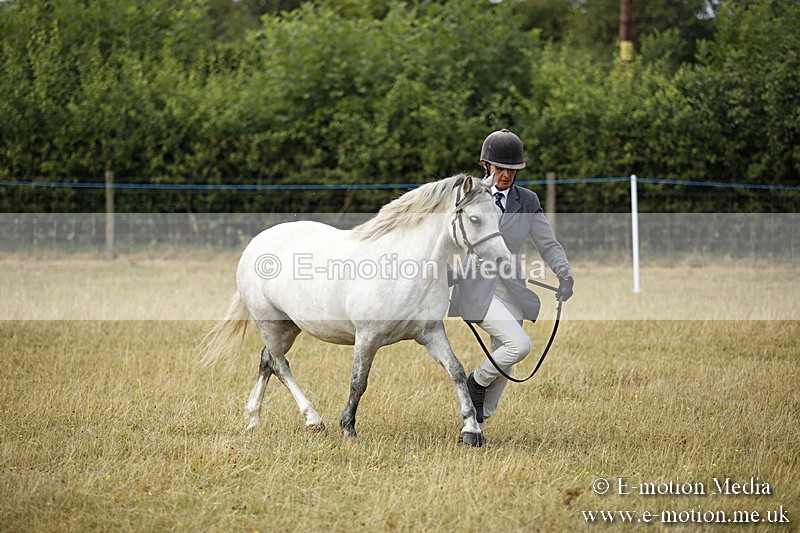 _C7A9604 - BVRC Sow 2018 Ring 2