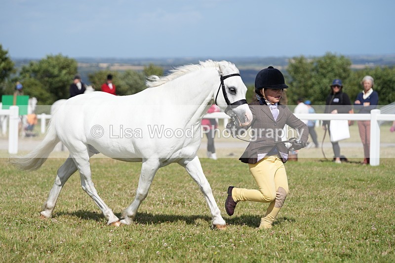 DSC07615 - Class 62: Child Handler