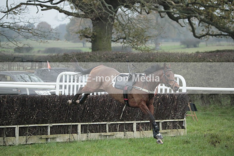 PtP 041222 0243 - Wheatland  Hunt PtP Chaddesley Corbett, Worcs 04/12/22