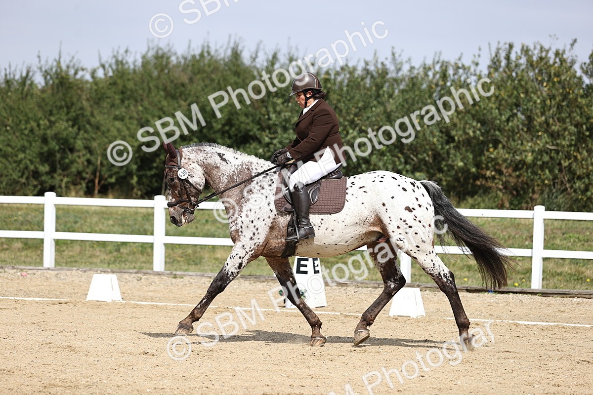 SBM_016838 - Class 14 Novice 23 - 11.53-12.56