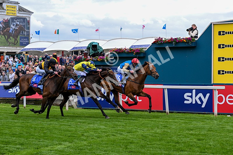 130626-Race 3-Gregory-1037 - Race 3 15.00pm Sky Bet Race To The Ebor Grand Cup Stakes