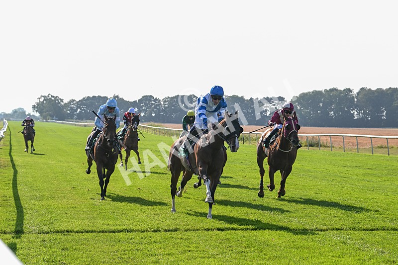 300824-Race 6-Havana Sky-6381 - Race 6