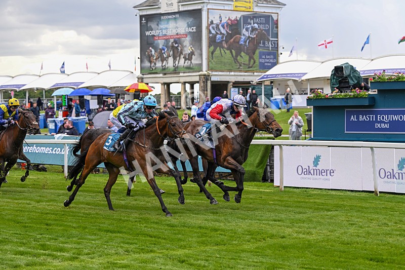 140526-Race 3-Maybe Not-4904 - Race 3 2.55pm Oakmere Homes Hambleton Handicap