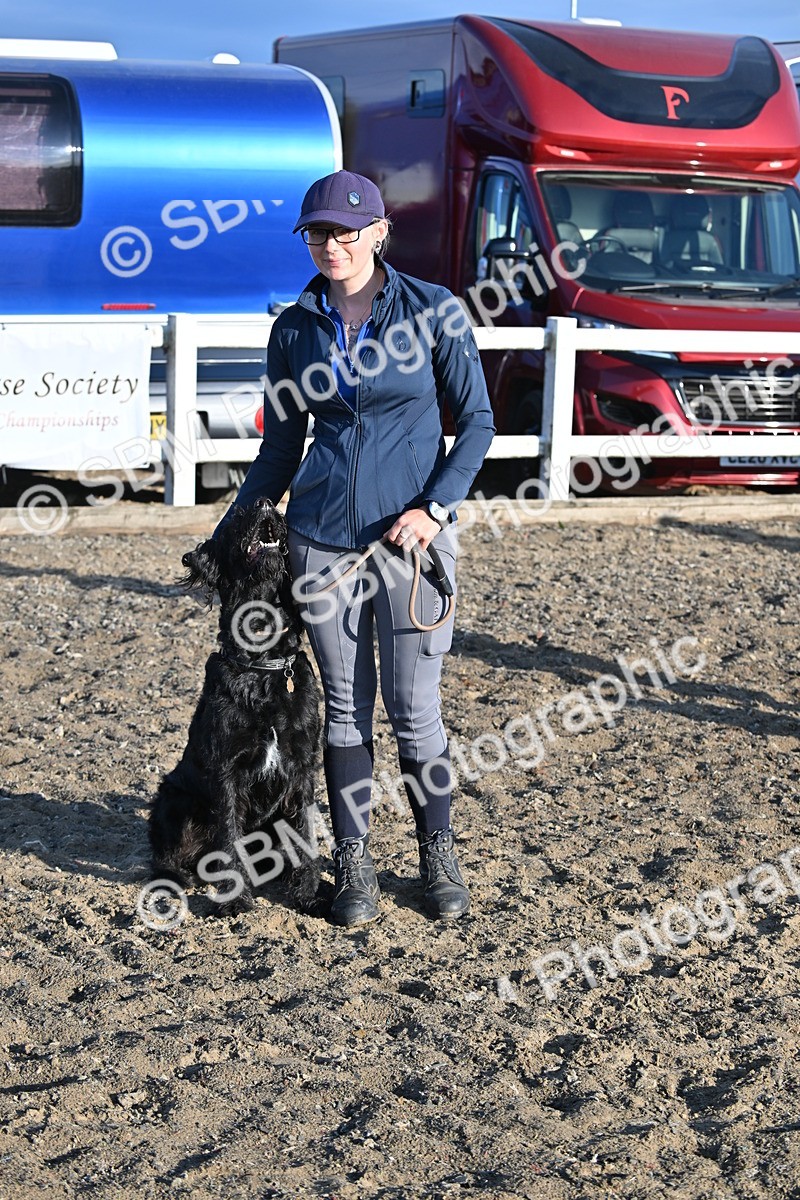 SBM_09386 - Lorry Dogs
